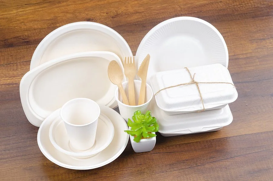 why-your-business-should-invest-in-skp-eco-food-packaging